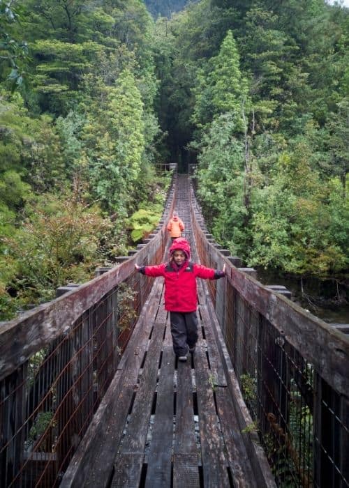 Equipado con una mentalidad sostenible, un niño se encuentra sobre un puente de madera en un bosque.